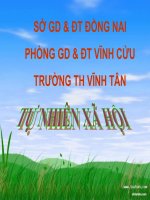 Trời nắng, trời mưa