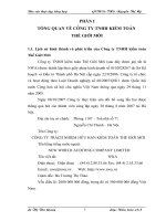 ĐÁNH GIÁ CHUNG VỀ TỔ CHỨC KIỂM TOÁN TẠI CÔNG TY TNHH KIỂM TOÁN THẾ GIỚI MỚI