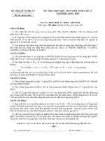 ĐỀ THI CHỌN HỌC SINH GIỎI TỈNH LỚP 12 NĂM HỌC 2012 – 2013 MÔN HÓA HỌC LỚP 12 THPT - SỞ GD&ĐT NGHỆ AN