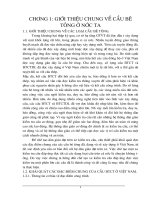 đặc điẻm chung của cầu btct ở Việt Nam