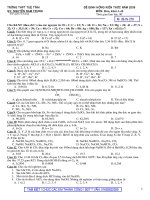 DE DINH HUONG 2009 TIEP THEO CUC HAY