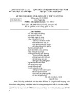 de thi HSG cap Tinh- Van 12