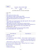 Giáo án tiếng Việt học kỳ I