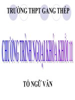 Ngoại Khóa Văn học dành cho khối 11