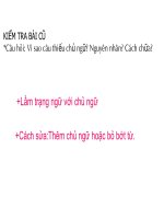 Tiết 127( Chữa lỗi về chủ ngữ-vị ngữ)