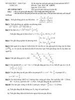 ĐỀ THI HỌC SINH GIỎI GIẢI TOÁN TRÊN MÁY TÍNH CẦM TAY NĂM HỌC 2010-2011 MÔN TOÁN LỚP 10 GIÁO DỤC THƯỜNG XUYÊN - SỞ GIÁO DỤC VÀ ĐÀO TẠO LONG AN