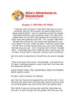 Những cuộc phiêu lưu của Alice (chương 2)