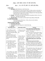 GIAO AN SINH 10-BAN CB