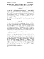 PHÂN TÍCH HOẠT ĐỘNG KINH DOANH CỦA HỆ THỐNG NGÂN HÀNG THƯƠNG MẠI CỔ PHẦN VIỆT NAM