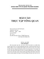 Tình hình hoạt động sản xuất kinh doanh của công ty TNHH thương mại và kỹ thuật Tân Hoàng Việt