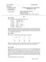 ĐỀ THI CHỌN HỌC SINH GIỎI VÒNG TỈNH LỚP 12 NĂM HỌC 2010-2011 MÔN HÓA HỌC