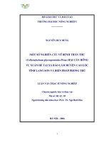 Một số nghiên cứu về bệnh thán thư (colletotrichum gloeosporioides penz) hại cây hồng vụ xuân hè tại xã bảo lâm huyện cao lộc tỉnh lạng sơn và biện pháp phòng trừ 