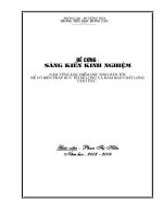 Nắm đặc điểm HSddeerr duy trì SL