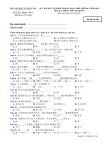 ĐỀTHI TỐT NGHIỆP TRUNG HỌC PHỔ THÔNG NĂM 2013 Môn TIẾNG TRUNG QUỐC