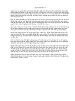 Người chết đẻ con