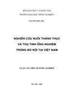Nghiên cứu nuôi thành thục và thụ tinh ống nghiệm trứng bò nội tại việt nam 