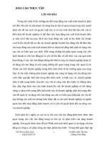 Báo cáo phân tích tình hình quản lý sử dụng vốn lưu động tại công ty cổ phần nông sản thực 