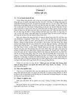 Đánh giá sự nhận biết thương hiệu của người dân TPLX, AG đối với mạng di động beeline  