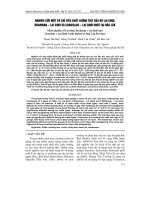 NGHIÊN CứU MộT Số CHỉ TIÊU CHấT LƯợNG THịT CủA Bò LAI SIND, BRAHMAN ì LAI SIND Và CHAROLAIS ì LAI SIND NUÔI TạI ĐĂK LĂK