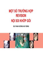 REVISION NỘI SOI KHỚP GỐI