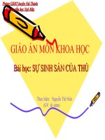 Khoa học 5 Sự sinh sản của thú