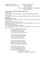 Đề tham khảo thi TN12 Ngữ Văn (13)