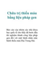chua tri thieu mau bang lieu phap gen 8646