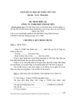 Biểu mẫu điều lệ công ty TNHH 1 thành viên 