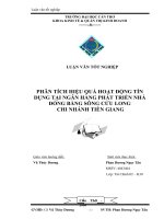 Phân tích hiệu quả hoạt động tín dụng tại ngân hàng MHB chi nhánh Tiền Giang