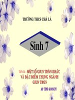 tiết 14- một số giun tròn khác