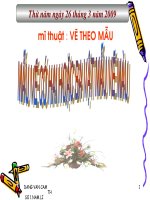 Mỹ thuật 5: Bài 28: Mẫu vẽ 2-3 vật mẫu