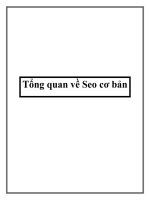 Tổng quan về seo cơ bản 