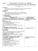 giao an chi tiet TNTHPT chon giong