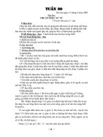 Giáo án tuần 30