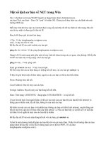 Một số lệnh cơ bản về NET trong win 