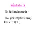 Bài 13.Từ phổ-đường sức từ