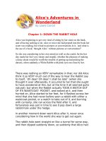 Những cuộc phiêu lưu của Alice (chương 1)