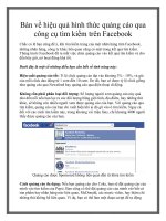 Bàn về hiệu quả hình thức quảng cáo qua công cụ tìm kiếm trên facebook 