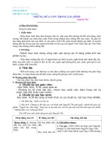 Giao an 12 moi hoc ki II (Tuan 23)