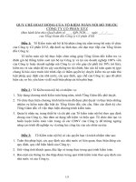 QUY CHẾ HOẠT ĐỘNG CỦA HỘI ĐỒNG QUẢN TRỊ CÔNG TY CỔ PHẦN XYZ