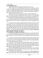 SKKN Viết đúng viết đẹp