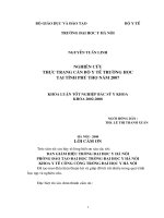 NGHIÊN CỨU THỰC TRẠNG CÁN BỘ Y TẾ TRƯỜNG HỌC TẠI TỈNH PHÚ THỌ NĂM 2007