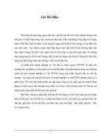 Thực trạng về cổ phần hoá doanh nghiệp có vốn ĐTNN và một số bước chuyển đổi doanh nghiệp thành công ty cổ phần