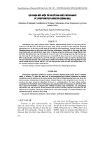 LựA CHọN ĐIềU KIệN TốI ƯU Để SảN XUấT CHITOSANASE Từ Streptomyces griceus (chủng NN2)