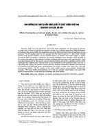 ảnh h-ởng của thời vụ đến năng suất và chất l-ợng ngô rau trên đất Gia Lâm, Hà Nội