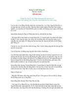 Hoàng Lê nhất thống chí Hồi 9