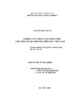 Nghiên cứu chọn tạo giống nho cho một số địa phương miền bắc việt nam 