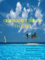 Bao ve moi truong va phong chong thien tai