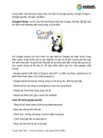 google panda, google penguin, google  sandbox.