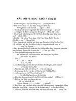 Câu hỏi vui học khói 5 vòng 2